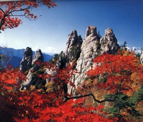 우보한의원 이미지