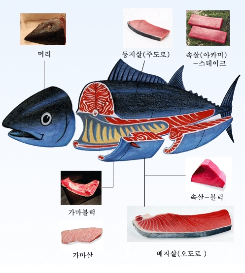 다랑어참치회 이미지