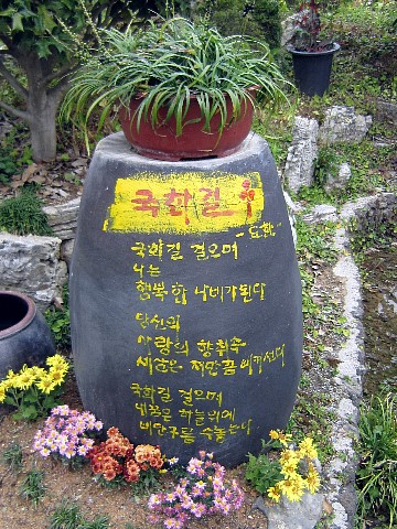 황토와 들꽃세상 이미지