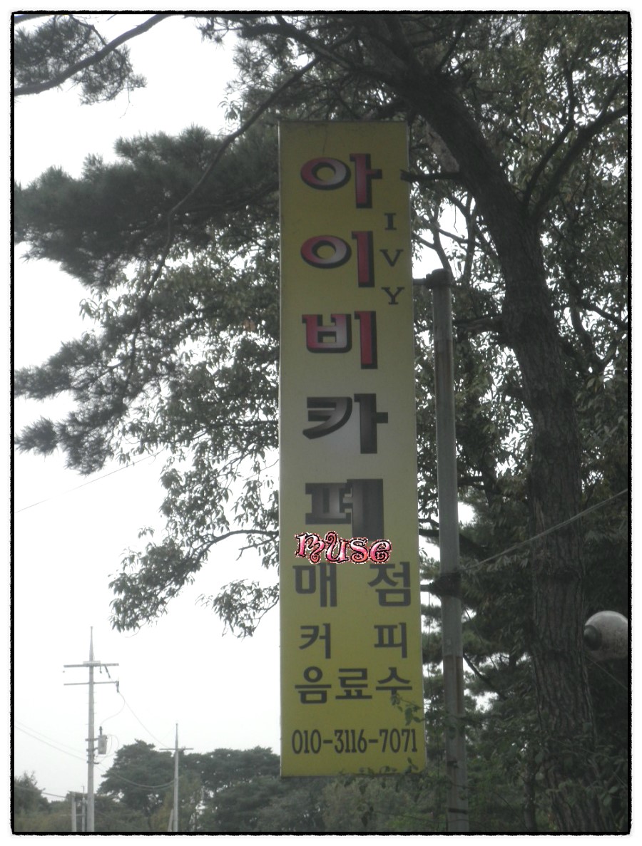 카페 아이비(Cafe Ivy) 이미지