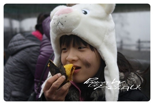 생태마을 이미지