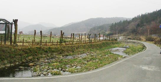 진도식당보리밥집 이미지