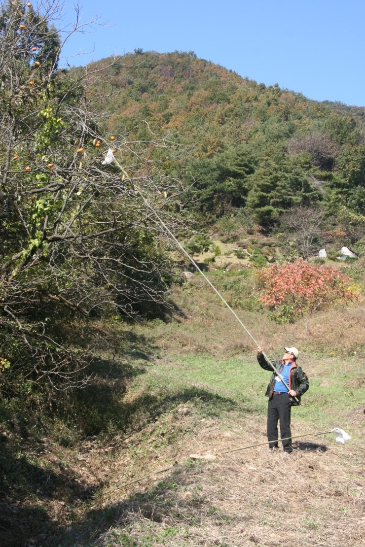 구메농원 이미지
