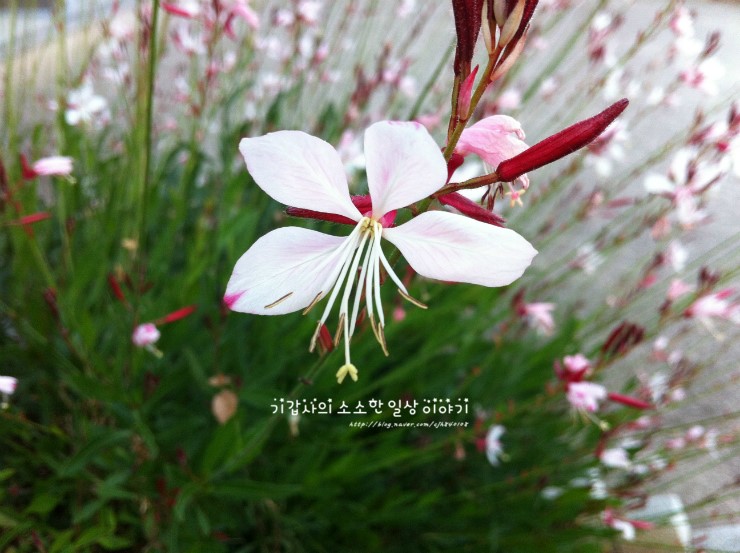 바오로일터 이미지