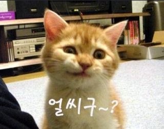 퐁듀크라상 이미지