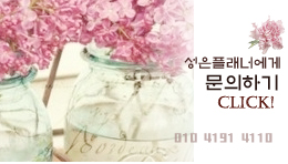 성플 이미지