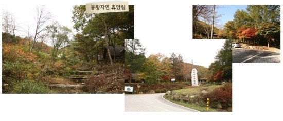 봄뜰 이미지