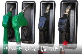 에코누리 이미지
