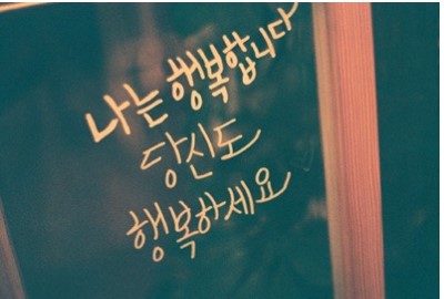 성플 이미지