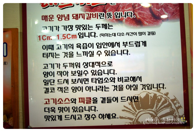 레드피그 이미지