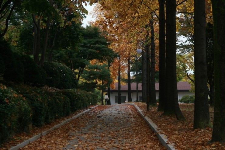 농협대학교 이미지