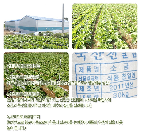 후레쉬팜 이미지