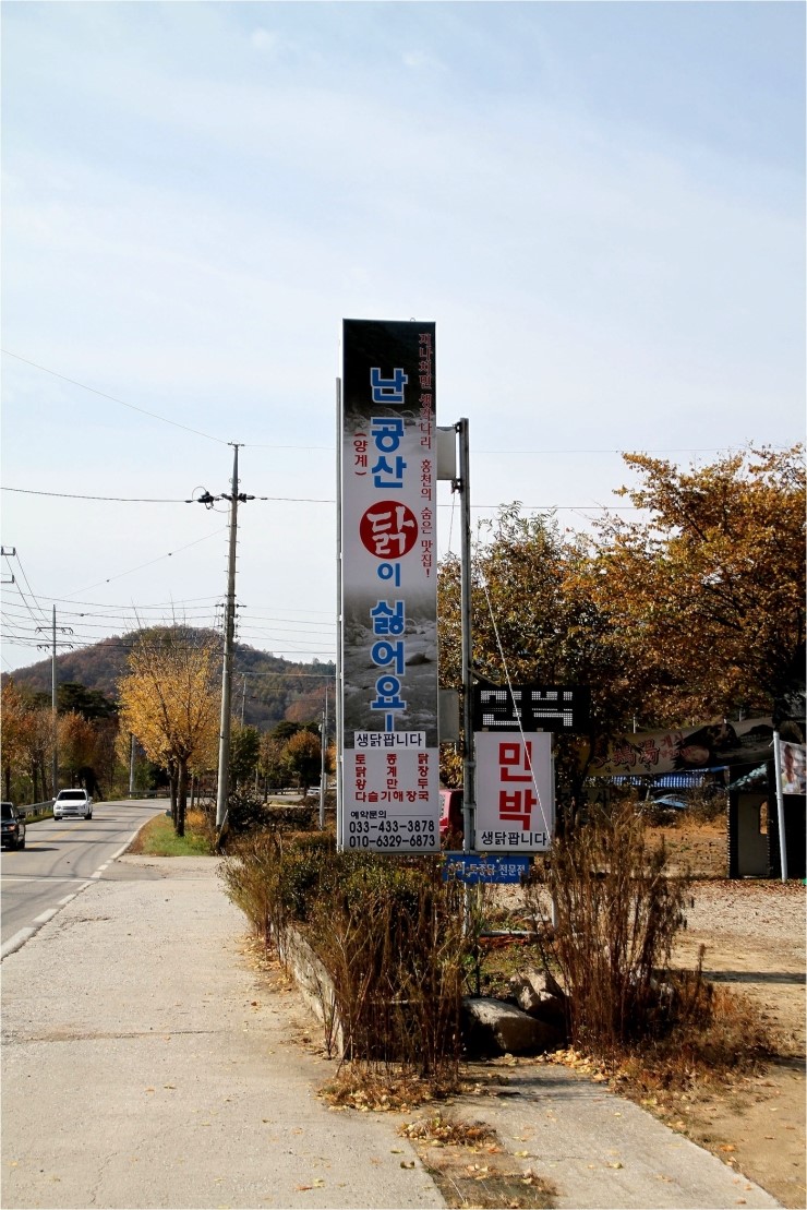 홍천양계 이미지