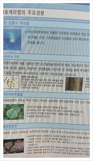 엠세이프티 이미지