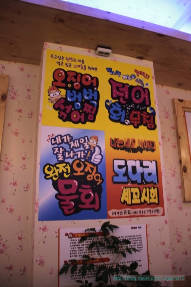 오징어천국완전 이미지