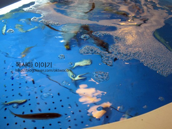 삼호수산 이미지