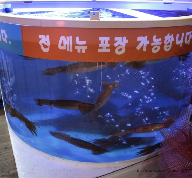 오징어천국완전 이미지
