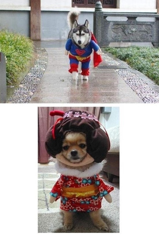 옷이날개 이미지
