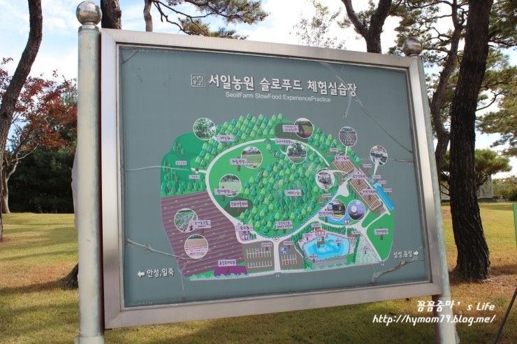 솔미푸드 이미지