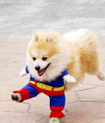 옷이날개 이미지