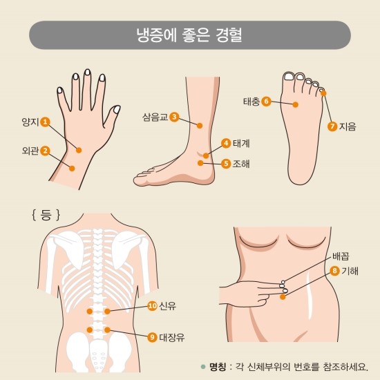 경혈테라피 이미지