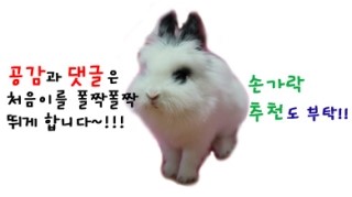 대윤주유소 이미지