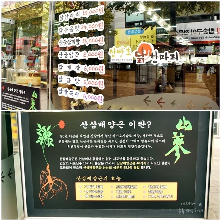 삼방초닭한마리칼국수 이미지