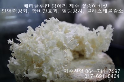 (주)제주로얄식품 이미지