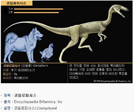 피시스북 이미지