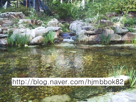 신천농수산물 이미지