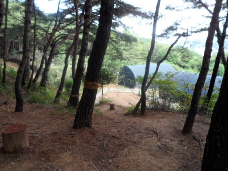 효원재 이미지