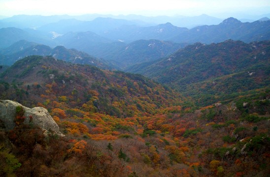 덕산관광농원 이미지