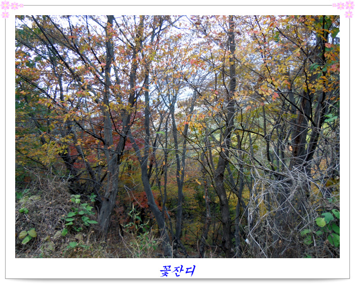순이네토굴새우젓 이미지