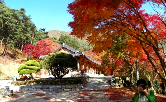 덕산관광농원 이미지