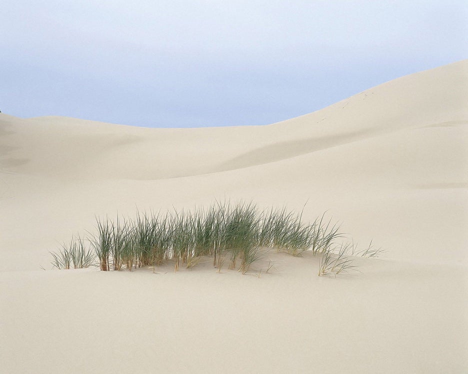 자연 NATURE 이미지