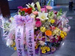 야탑동 351 (분당차병원) 이미지