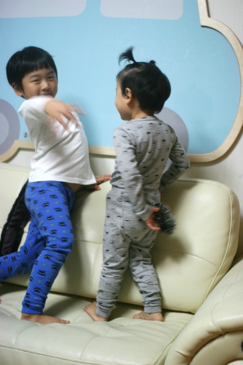 힘쎈호랑이 이미지