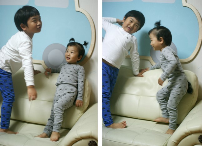 힘쎈호랑이 이미지