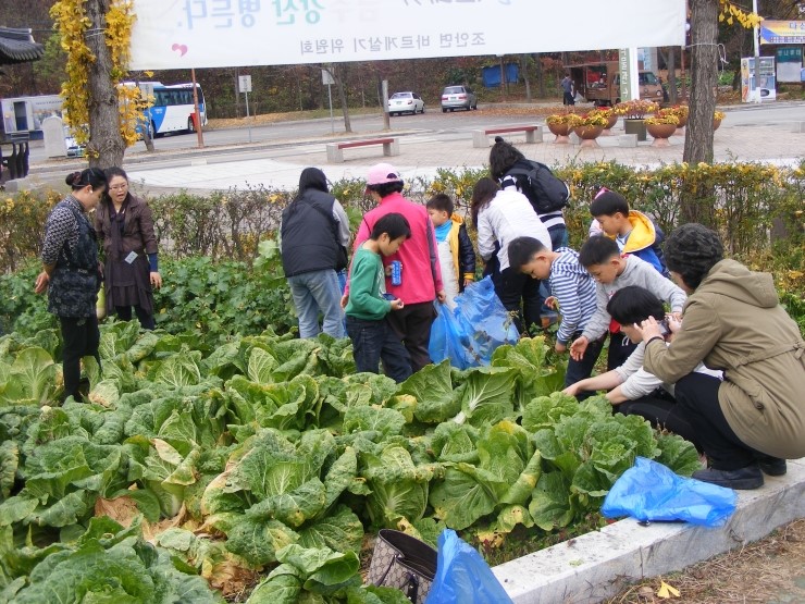 대가농원 이미지