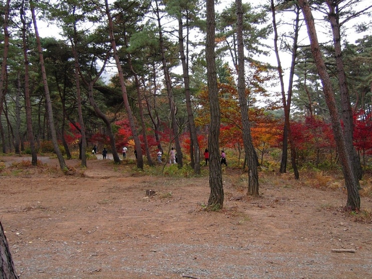팔봉산 코뚜레 이미지