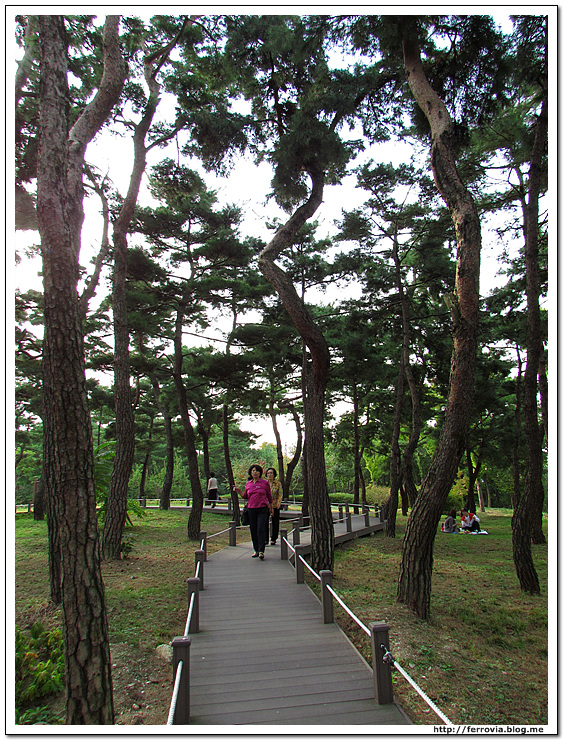 한밭1호 이미지