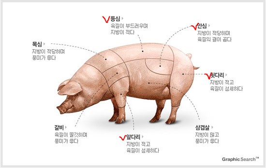돼지의재발견 이미지