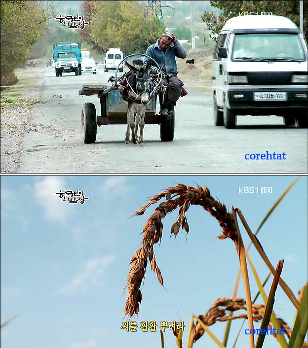 우리네밥상 이미지