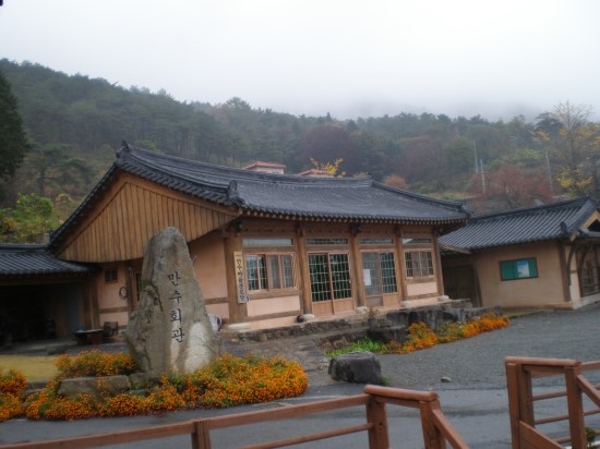 들국화민박 이미지