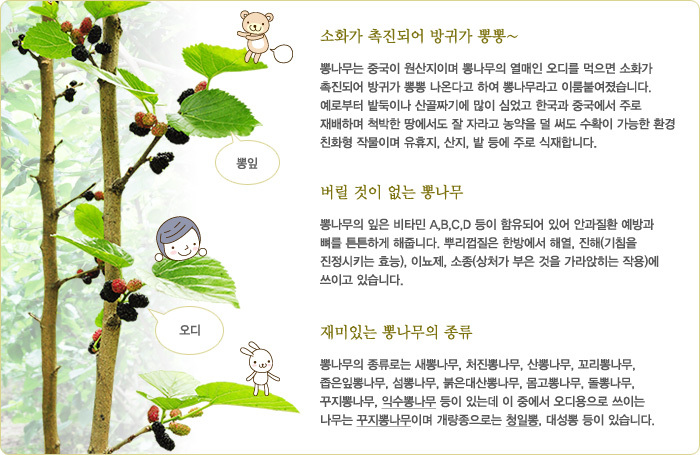 오디N오디 이미지