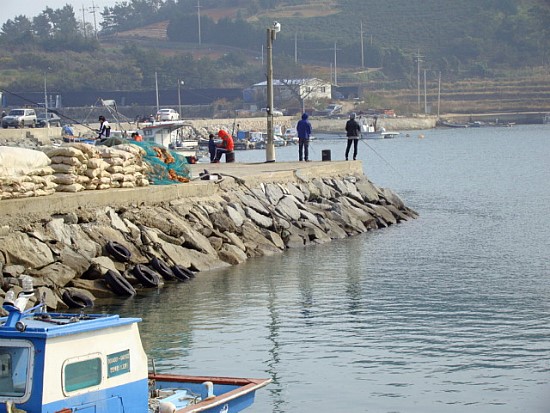백야도 손두부 이미지