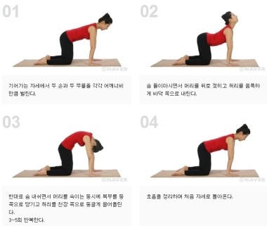 장안속내과 이미지