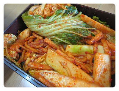 횡성명품배추 이미지