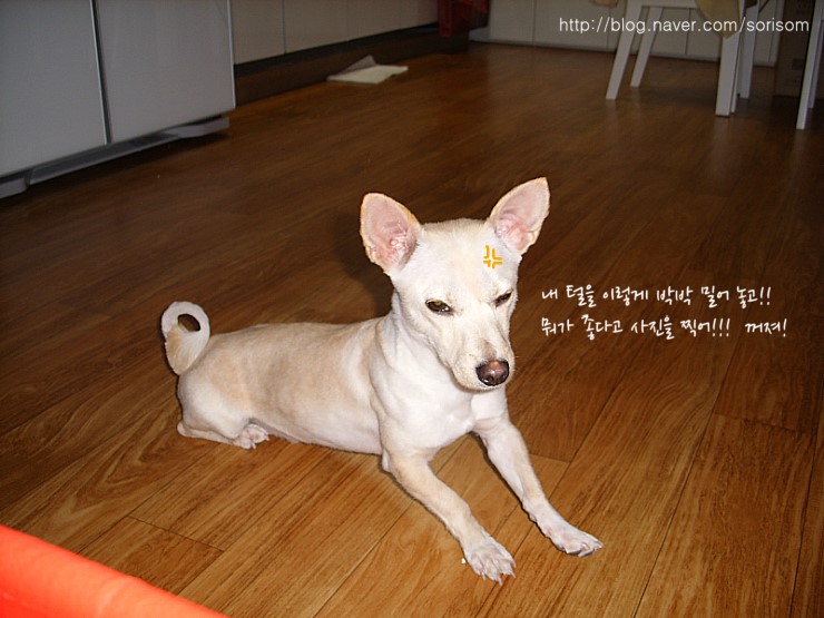 마*학 이미지