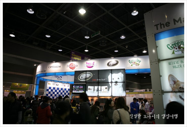 시저사 이미지